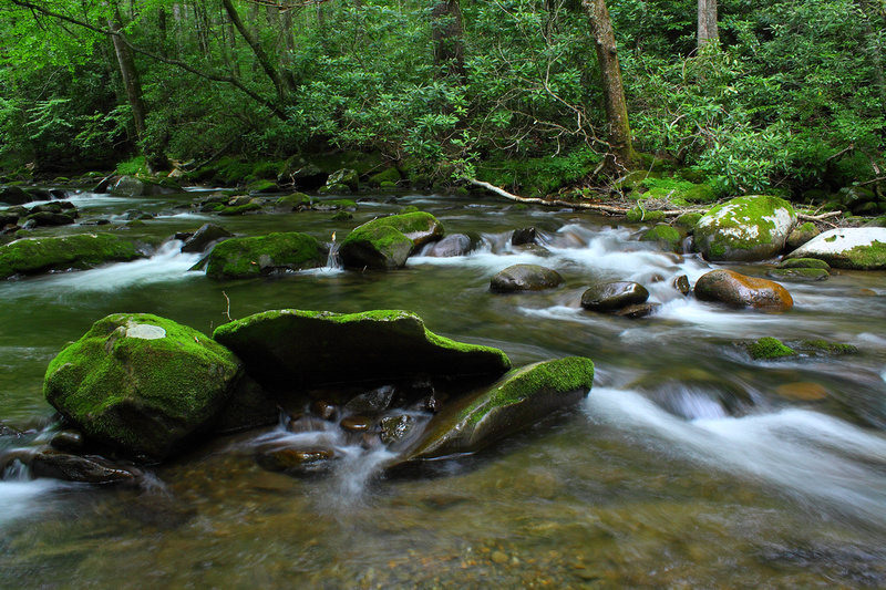 ↟↟ Glistening Light Photography | Smoky Mountain Streams, Rivers ...